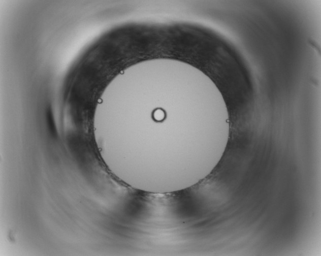 X0000103930239200810171759