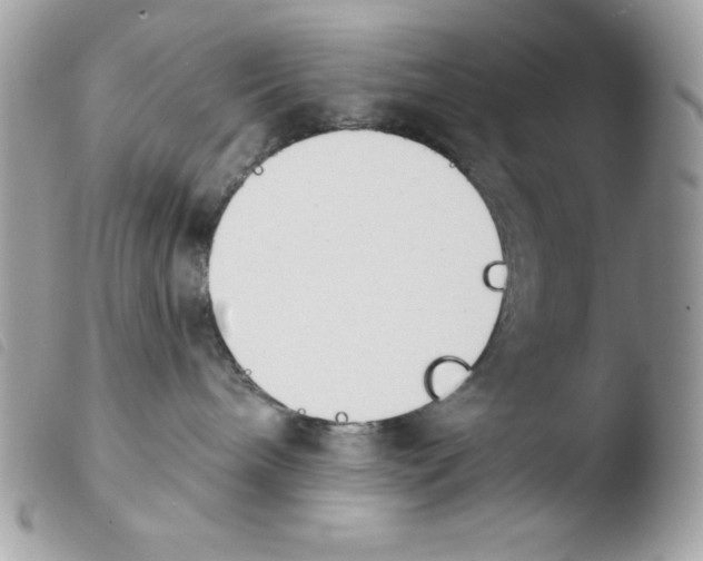 X0000103930240200810171759