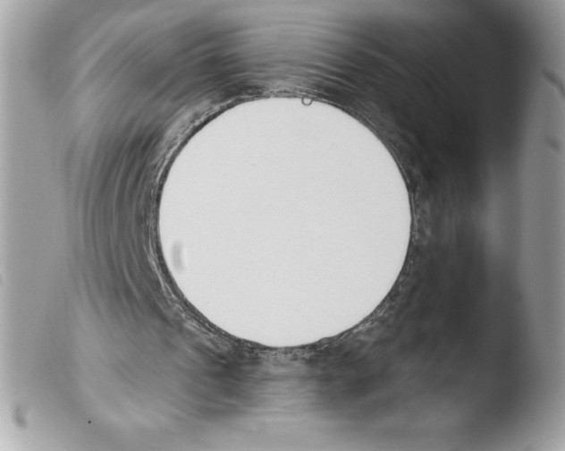 X0000103930241200810171758