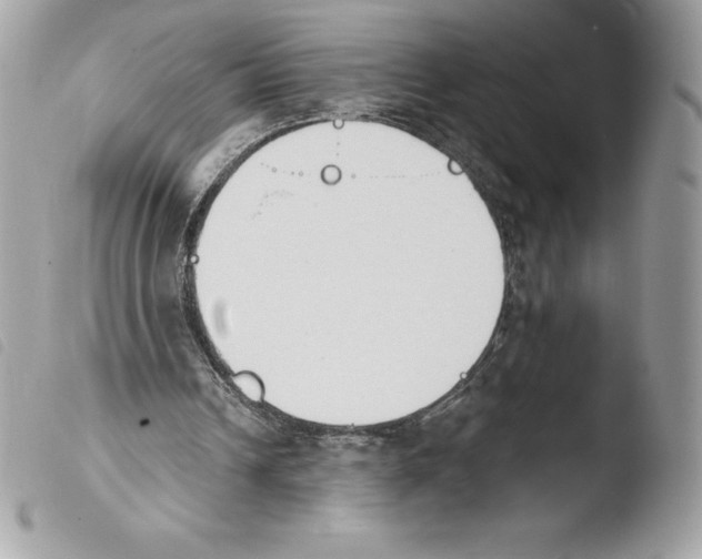 X0000103930242200810171758