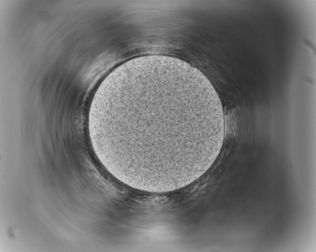 X0000103930243200810171758