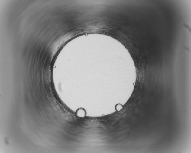 X0000103930244200810171758