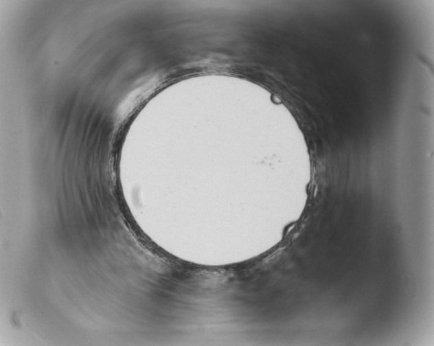 X0000103930245200810171758