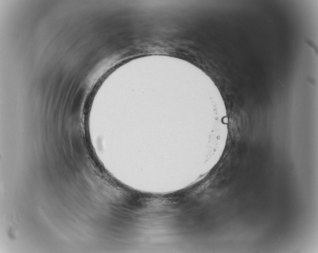 X0000103930246200810171758