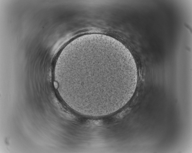 X0000103930247200810171758