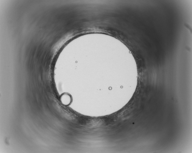 X0000103930248200810171758