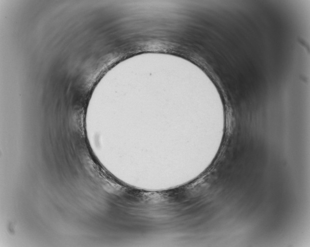 X0000103930249200810171758