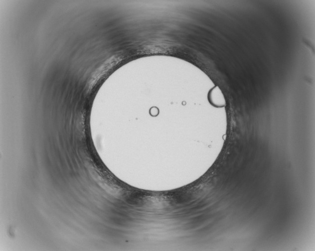 X0000103930250200810171758