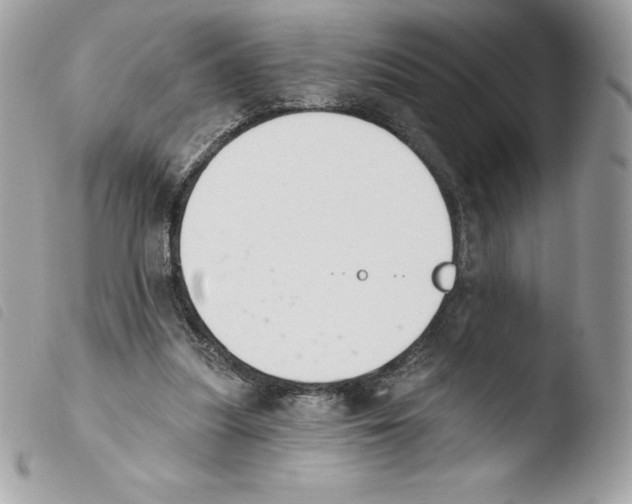 X0000103930251200810171758