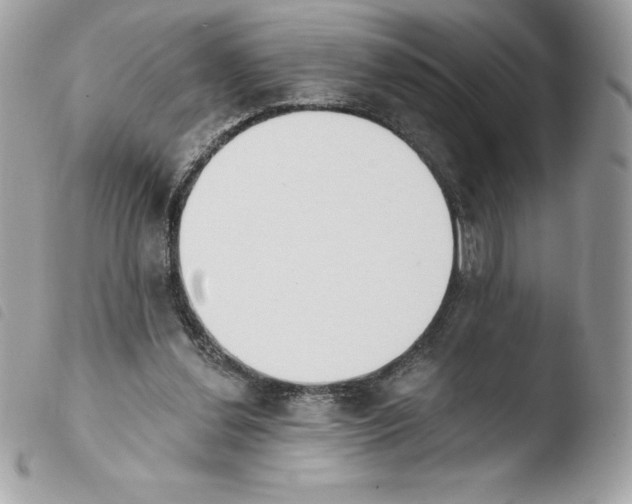 X0000103930252200810171758