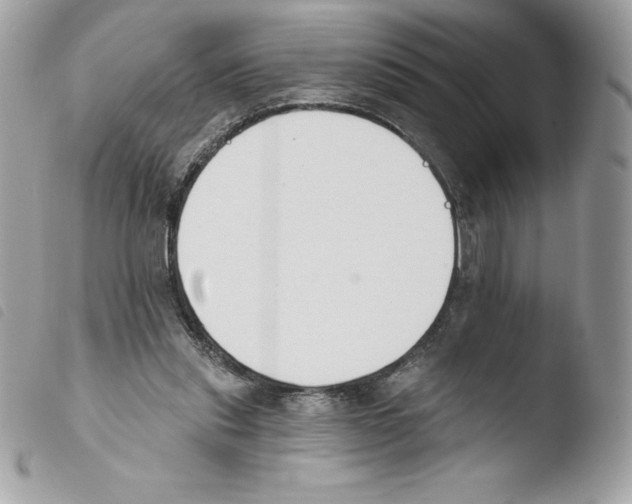 X0000103930253200810171758