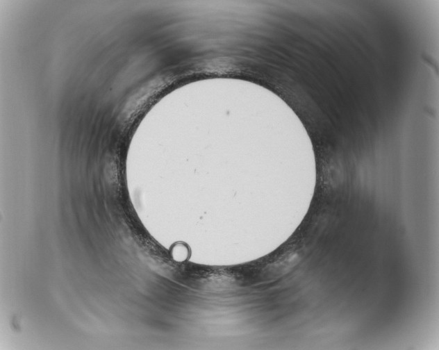 X0000103930256200810171758