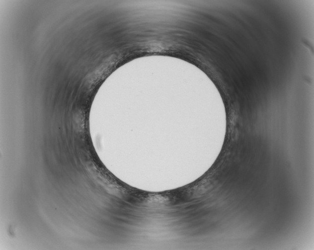 X0000103930257200810171758