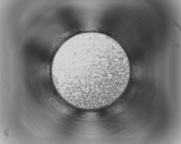 X0000103930260200810171758