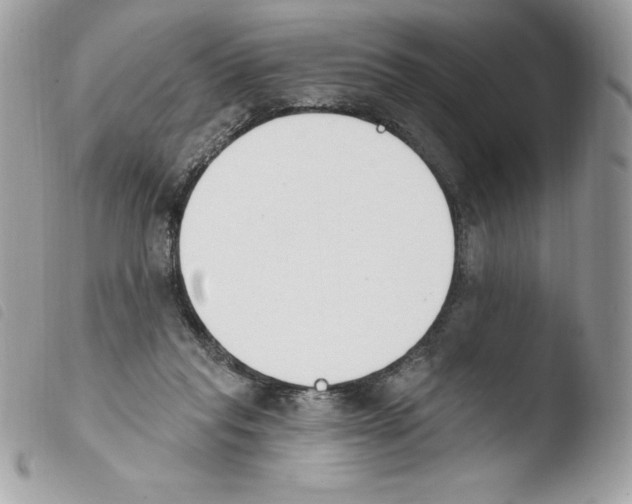 X0000103930261200810171758