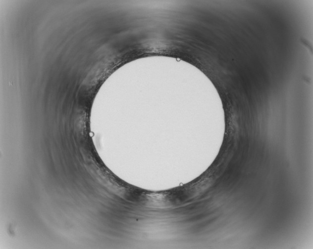 X0000103930265200810171758