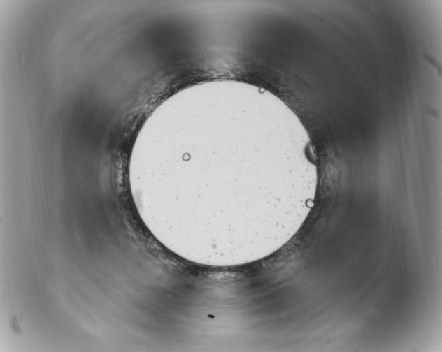 X0000103930268200810171758