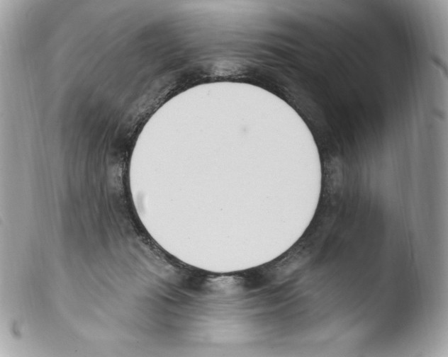 X0000103930269200810171758