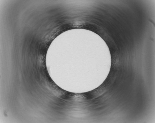 X0000103930270200810171758