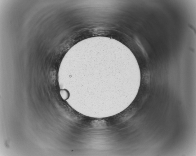 X0000103930271200810171758