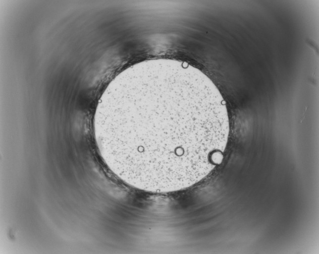 X0000103930272200810171758