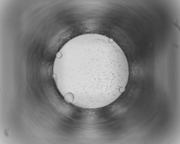 X0000103930276200810171758