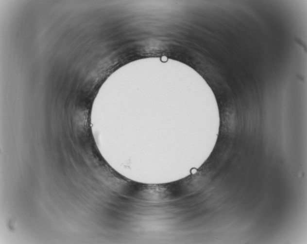 X0000103930278200810171759