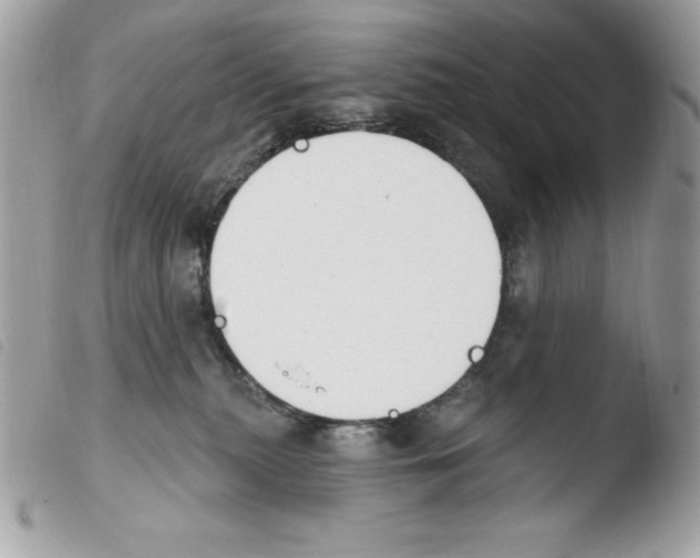 X0000103930279200810171759