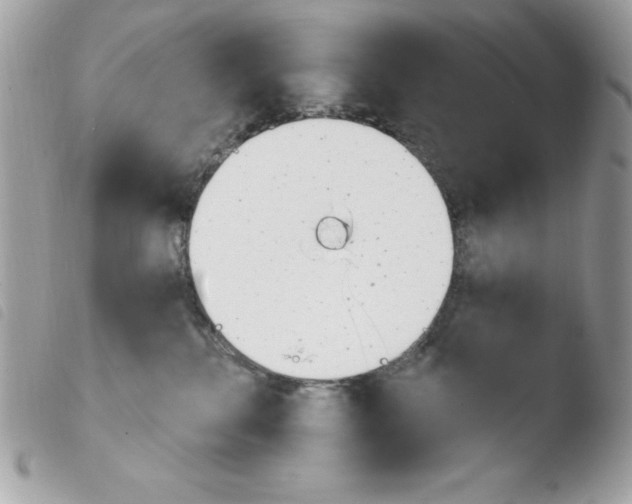 X0000103930280200810171759