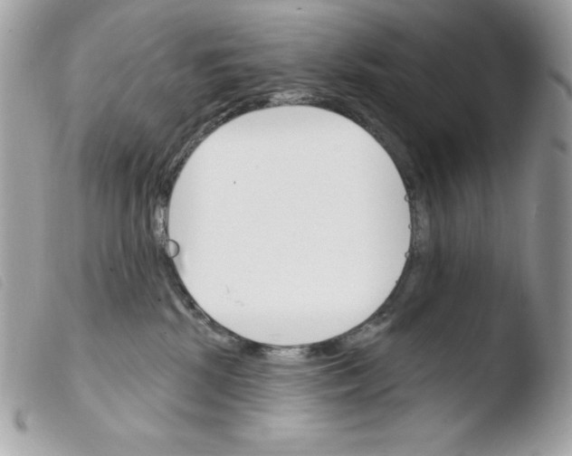 X0000103930281200810171759