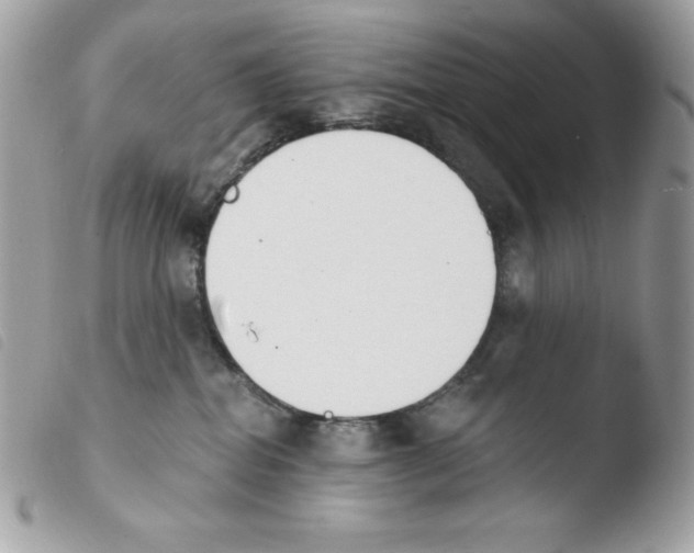 X0000103930282200810171759