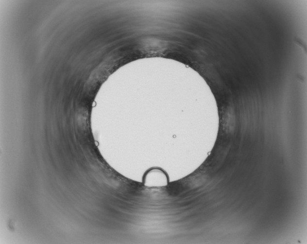 X0000103930283200810171759