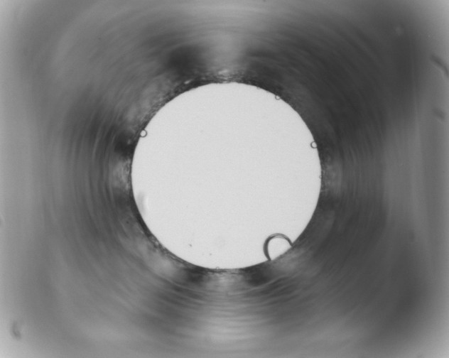 X0000103930286200810171759