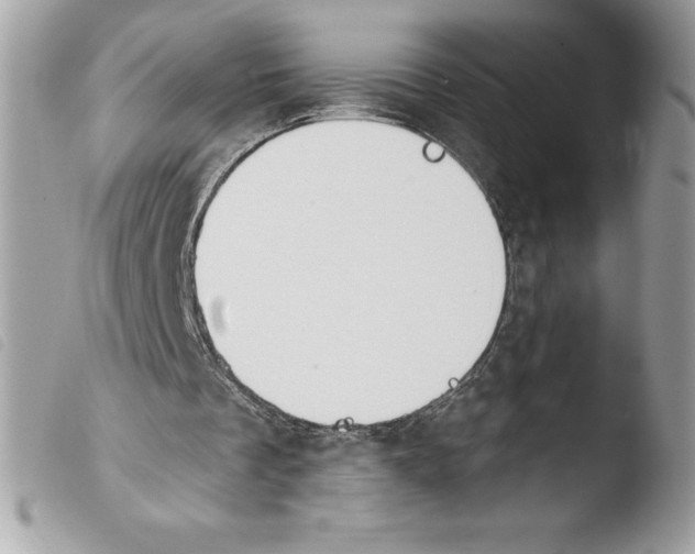 X0000103930289200810171758