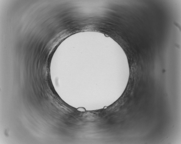 X0000103930290200810171758