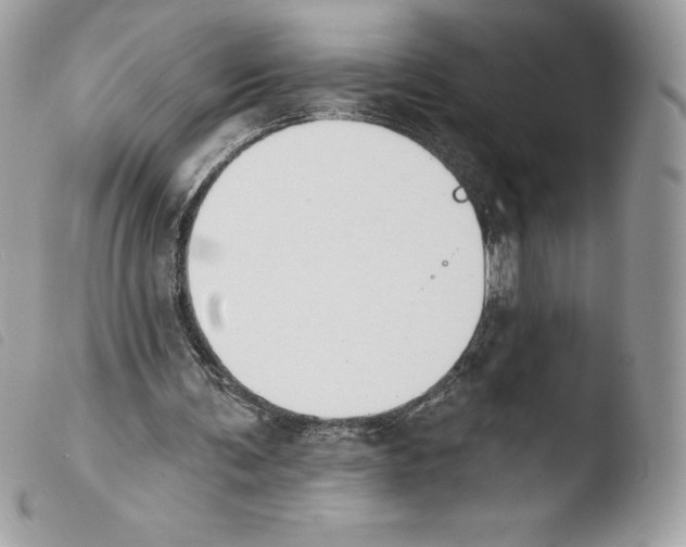 X0000103930291200810171758