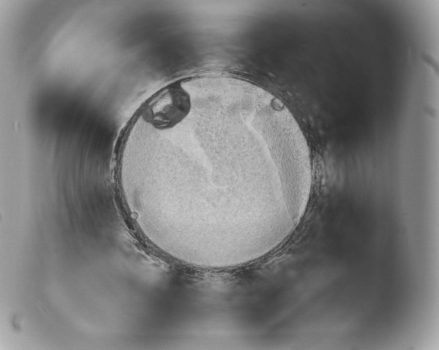 X0000103930292200810171758