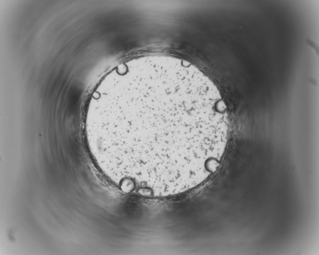 X0000103930293200810171758