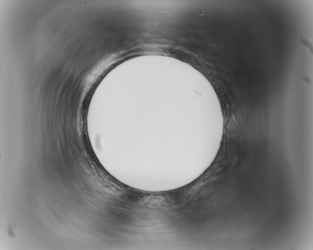 X0000103930294200810171758