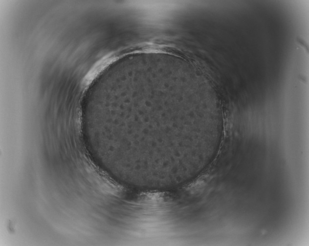 X0000103930295200810171758