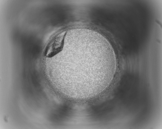 X0000103930296200810171758