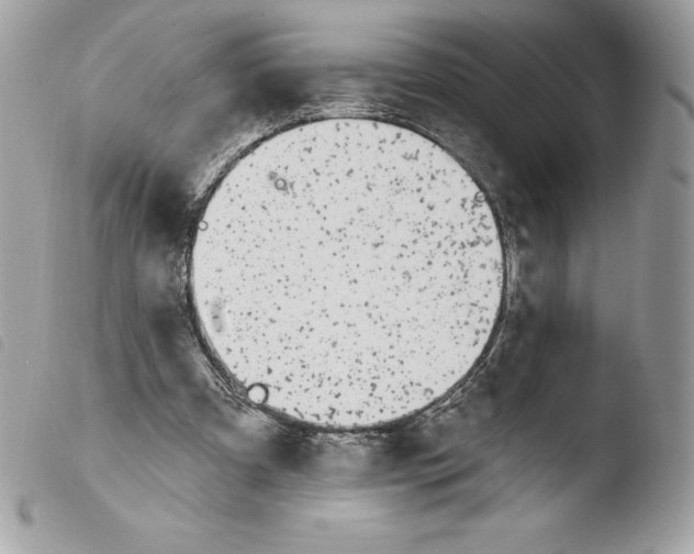 X0000103930297200810171758