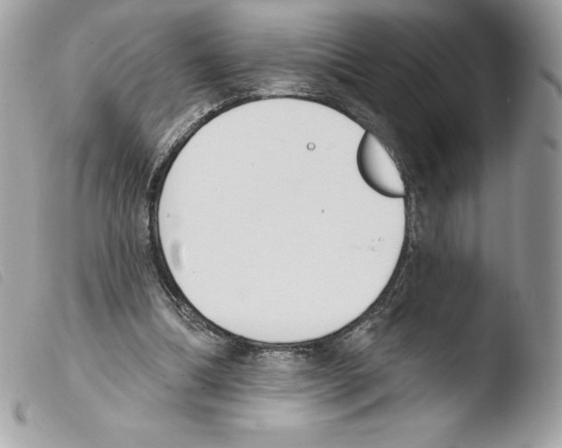 X0000103930298200810171758