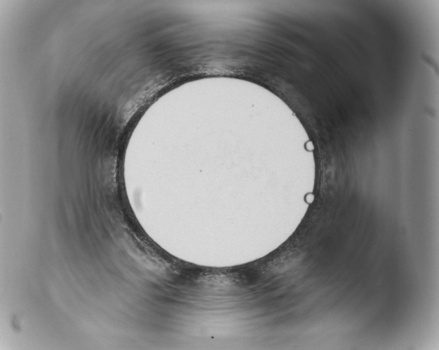 X0000103930299200810171758