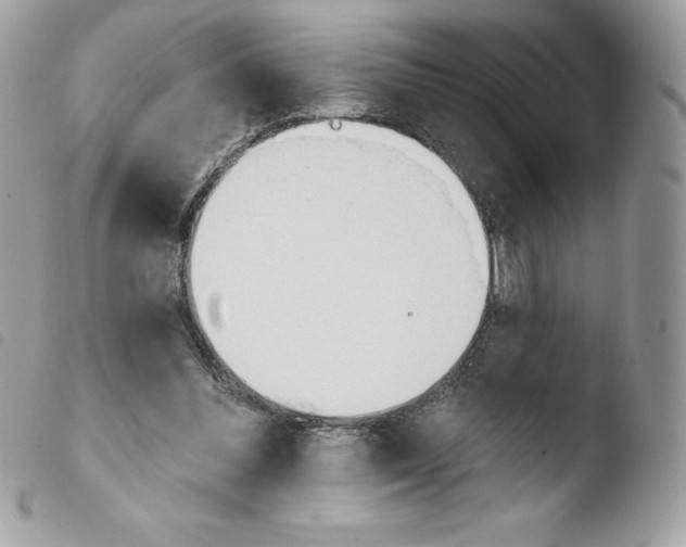 X0000103930300200810171758