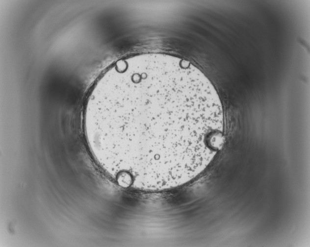 X0000103930301200810171758