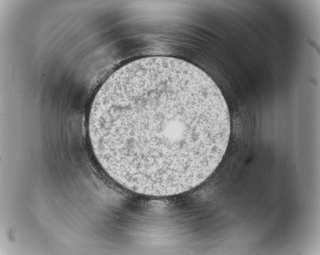 X0000103930302200810171758