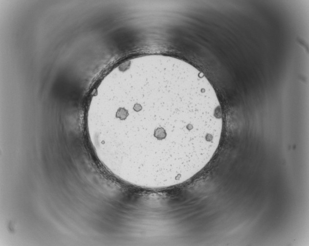 X0000103930304200810171758