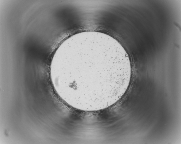 X0000103930305200810171758