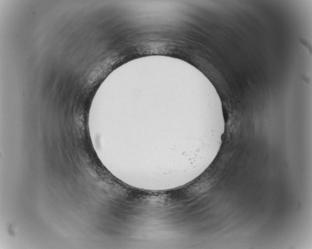 X0000103930306200810171758